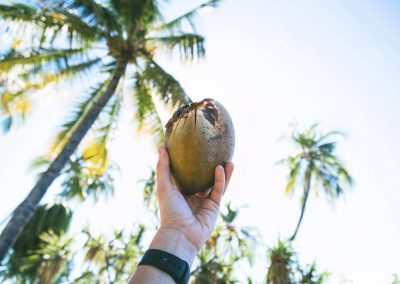 What does a coconut skin and your career path have in common?